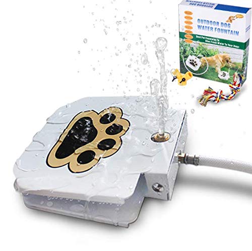 BACOENG Pet Drinking Fountain: The Best Pet Water Fountain with Sprinkler for Cats and Small Dogs